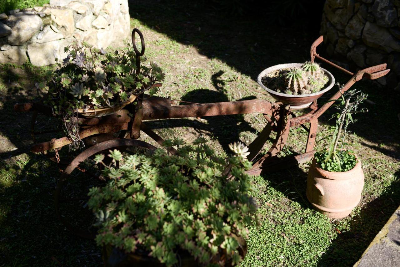 Gallorosso Guest house Settignano