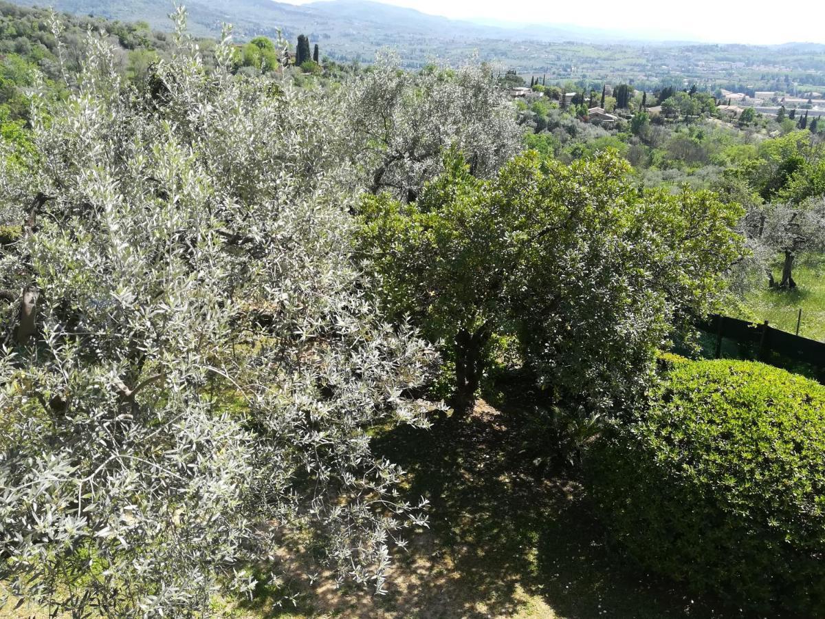 Guest house Gallorosso *