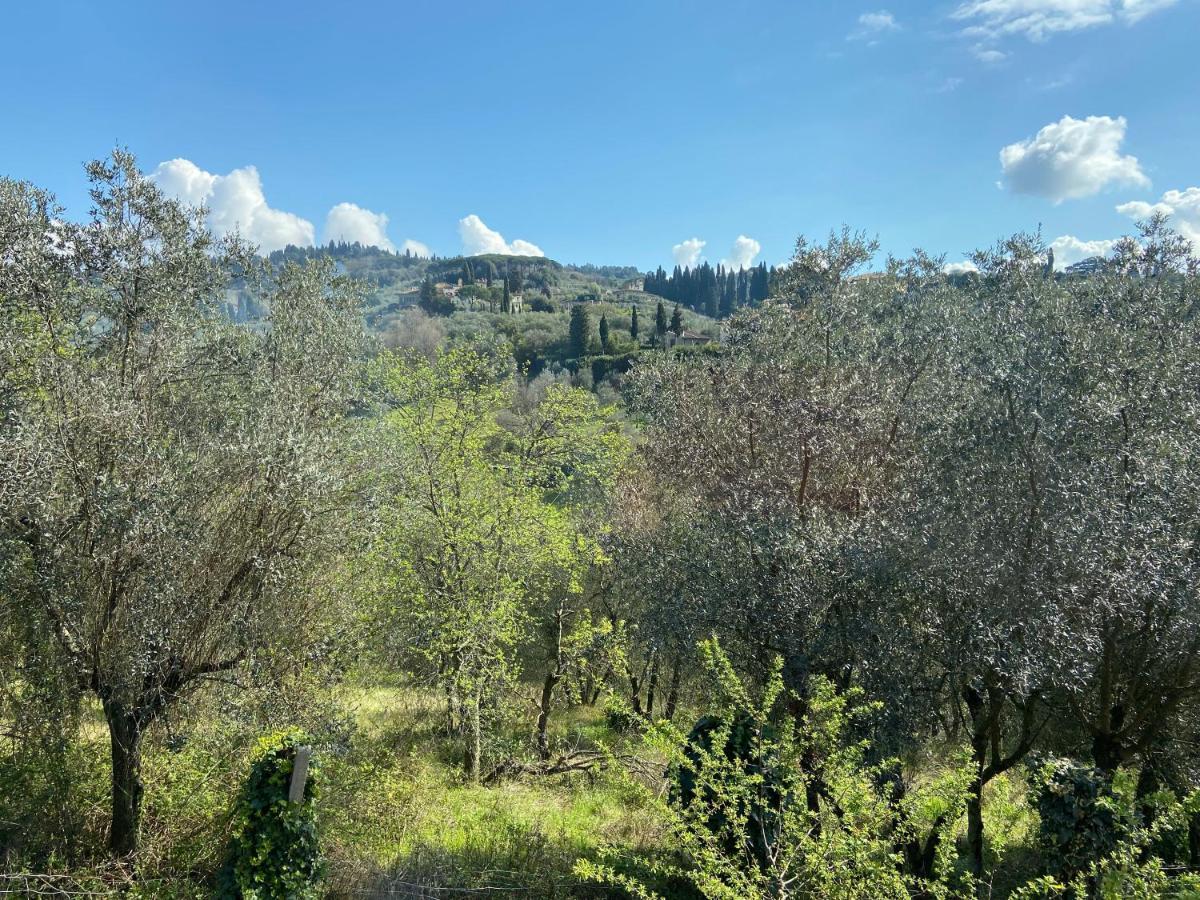 Gallorosso Settignano