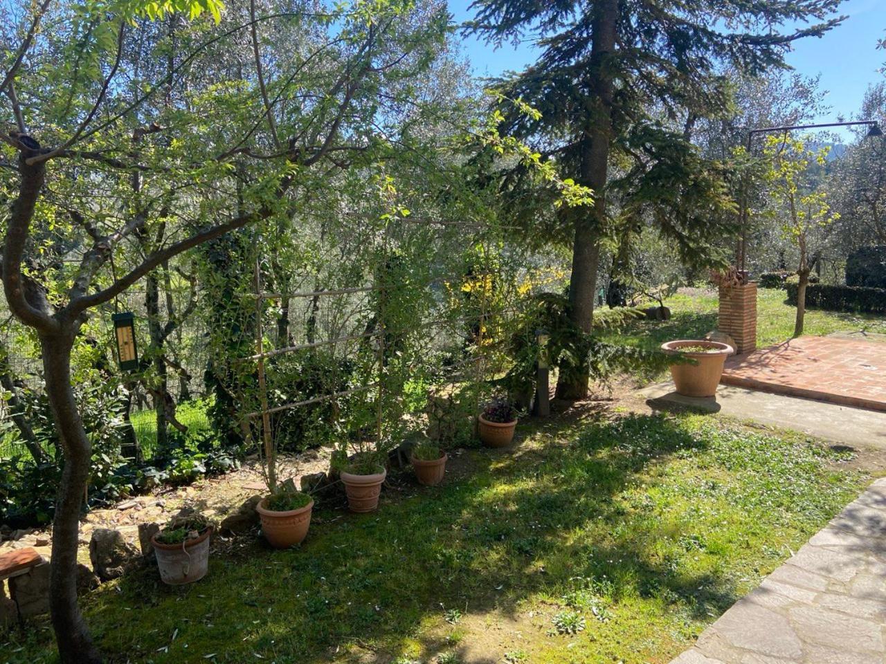 Guest house Gallorosso Settignano